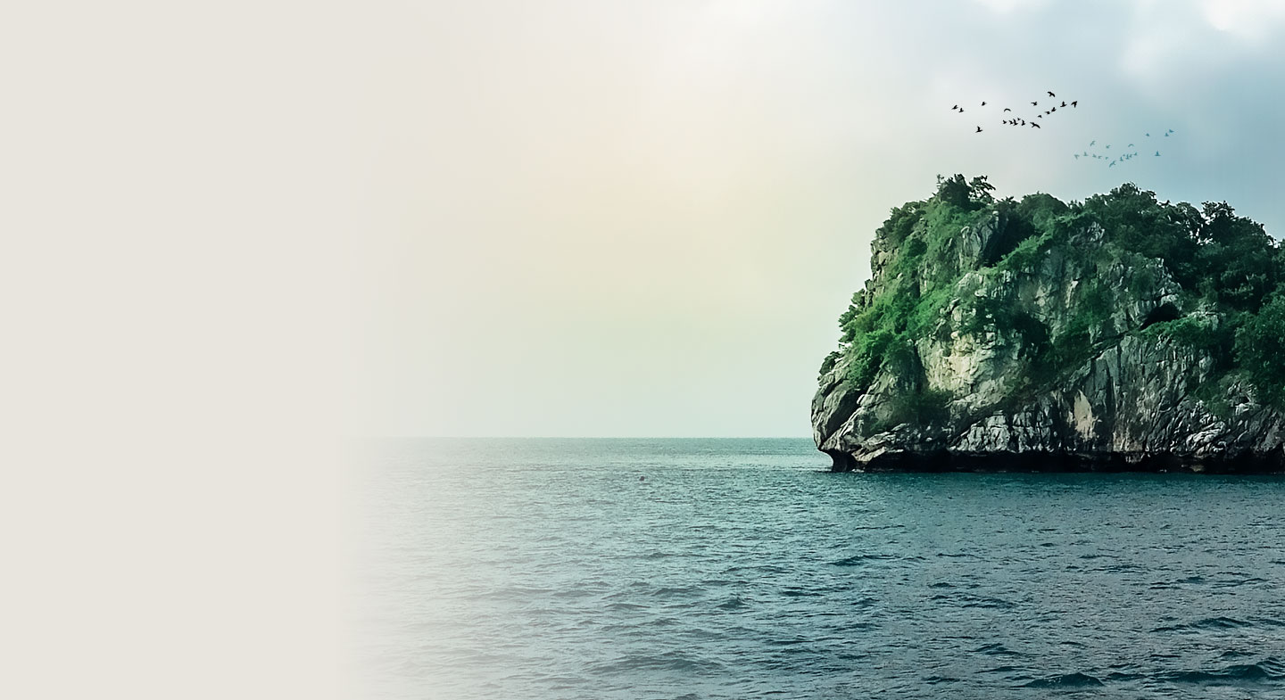 Nước tổ yến sào