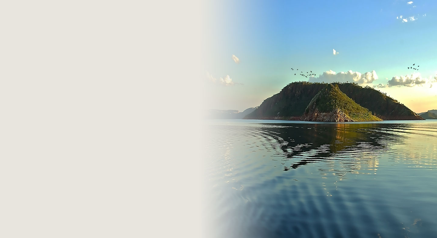 Nước giải khát tổ yến