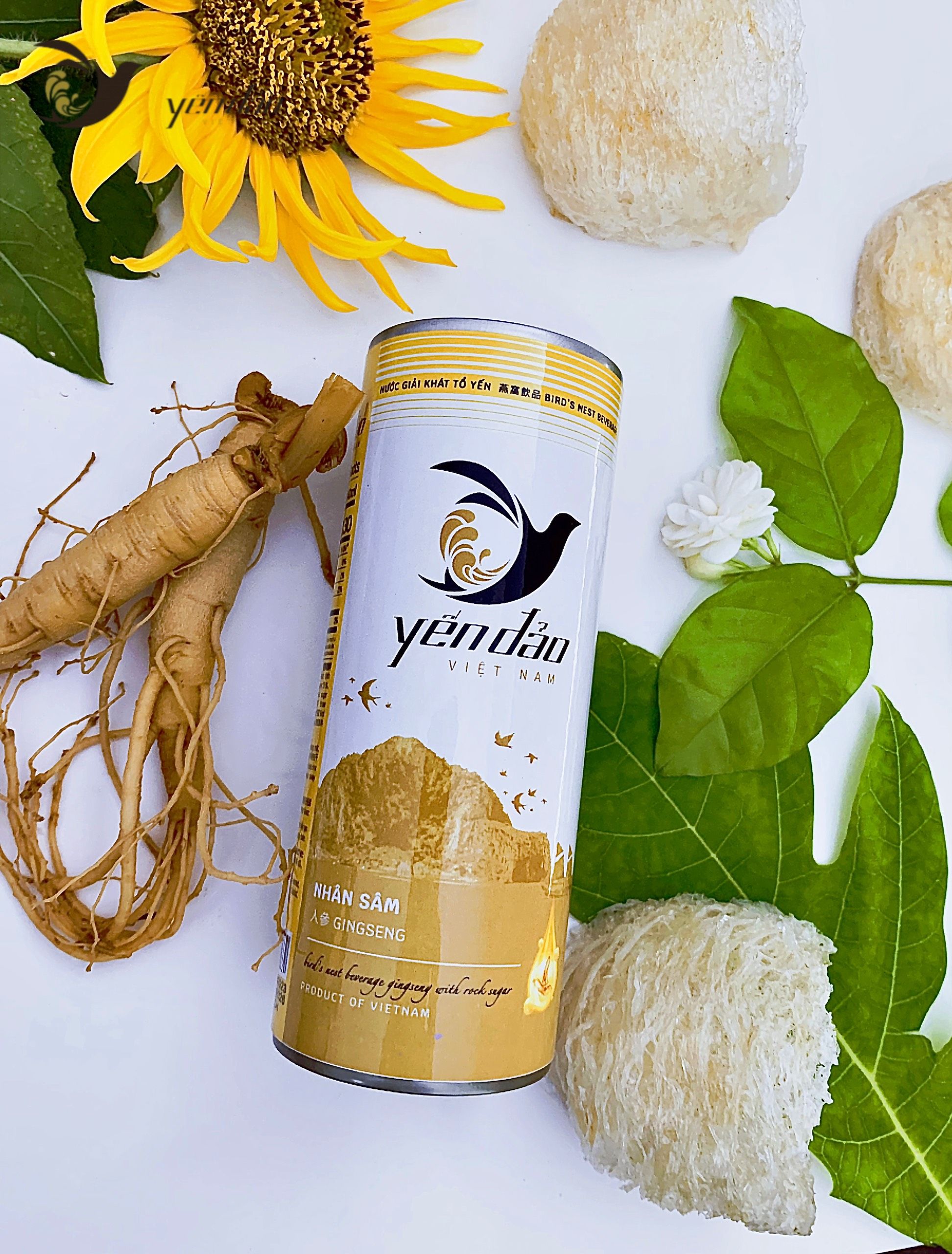 Nước giải khát tổ yến