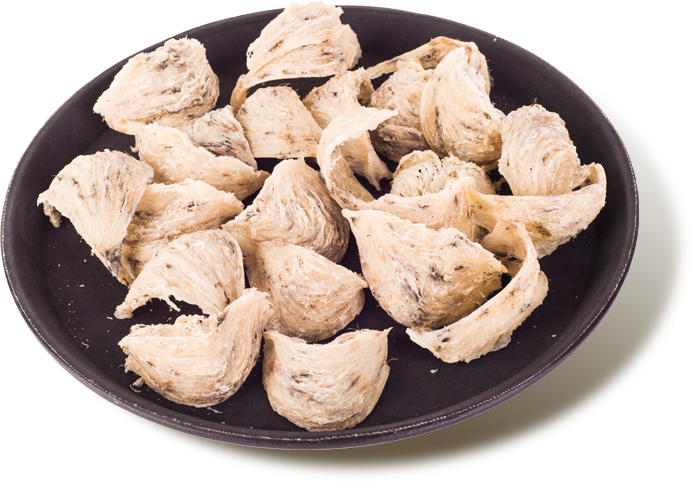 Công dụng của Tổ Yến