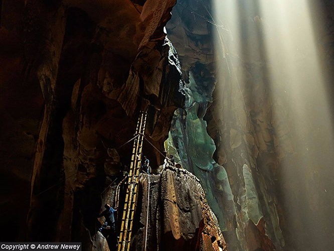  Tại sao yến sào có nguy cơ bị làm giả ?